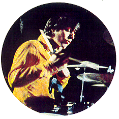 Image of Dino
