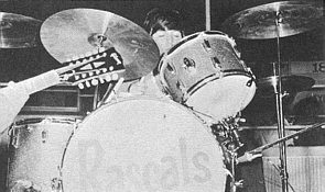 Image of Rascals in Hawaii
